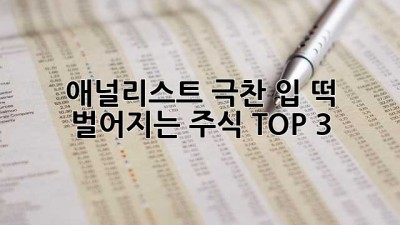📈 애널리스트 극찬! 입 떡 벌어지는 주식 TOP 3 🚀